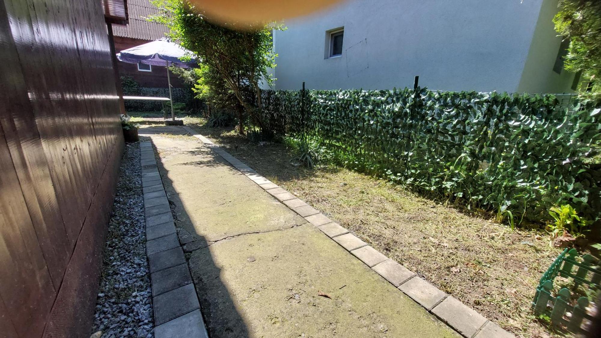 贝尔格莱德Wooden House Ada别墅 外观 照片