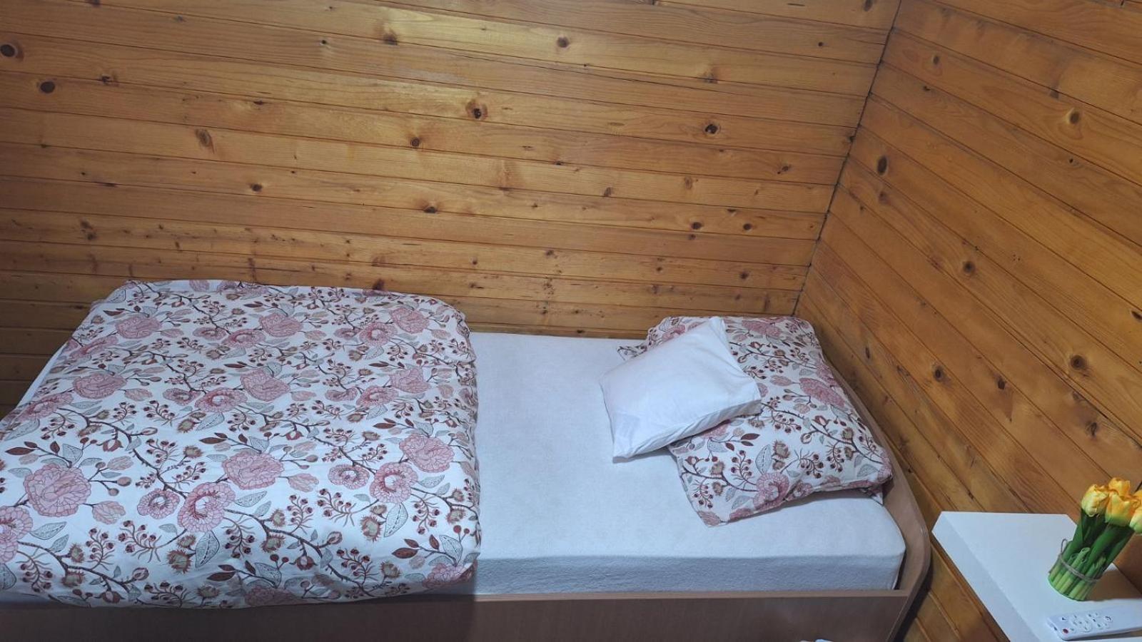 贝尔格莱德Wooden House Ada别墅 外观 照片